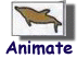 Click through to the Animation area