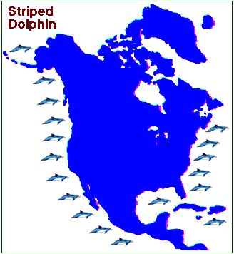 Map of a Stripped Dolphin Habitat